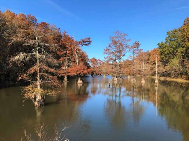 Catahoula Park